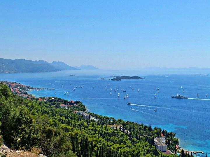 Apartmani Villa Lidija Orebić Exteriér fotografie